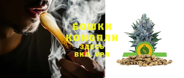 тгк Дмитровск