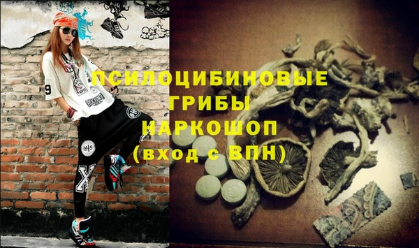 тгк Дмитровск