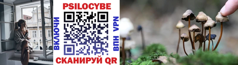 Галлюциногенные грибы ЛСД  Купить где  Камень-на-Оби 